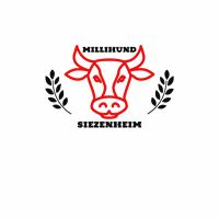 Kran Siezenheim